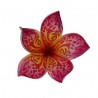 Pic fleur tatouée