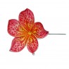 Pic fleur tatouée