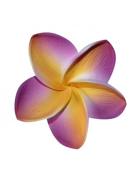Barrette à cheveux frangipane Barrette à cheveux frangipane