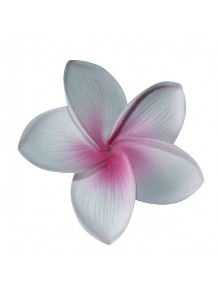 Barrette à cheveux Premium frangipane
