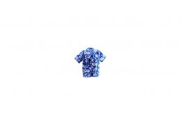 Origine de la chemise Hawaïenne