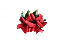 Les barrettes Fleurs pour Cheveux comme accessoire de coiffure